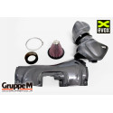 Gruppe M Carbon Air Intake for Audi RS3 8V.1/8V.2