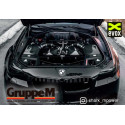 Gruppe M Carbon Air Intake for BMW M5 F10