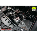 Gruppe M Carbon Air Intake for BMW M5 F10