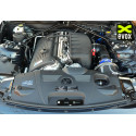 Kit Admission en Carbone Gruppe M pour BMW Z4M E85