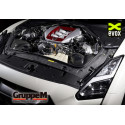 Kit Admission en Carbone Gruppe M pour Nissan GTR35